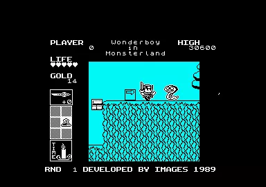 Wonder Boy in Monster Land Amstrad CPC Kill him.