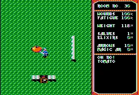 Temple of Apshai Trilogy Apple II Oh no! A tomato? Okay now that&#x27;s a strange monster. (double hi-res graphics mode)