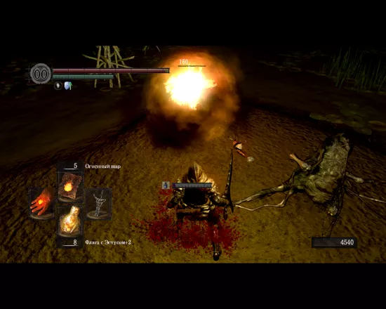Dark Souls: Prepare to Die Edition Windows Hitting a poisonous Giant Mosquito with a fireball. Yeah...