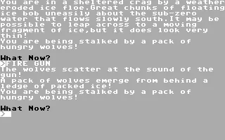 Ice Station Zero Commodore 64 Get rid of the wolves.