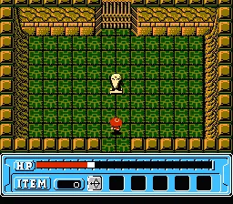 Faria: A World of Mystery &#x26; Danger! NES Dungeon. First one must figure out how to open the door...