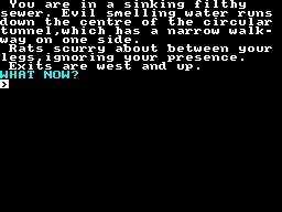 Witch Hunt ZX Spectrum In a sewer