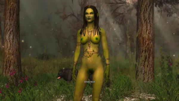 The Witcher: Enhanced Edition Windows Enhanced Base Game - Nature&#x27;s clothes are the best