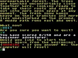 A Legacy For Alaric ZX Spectrum If the player quits, or makes a bad decision, the game ends and they are given an option to replay