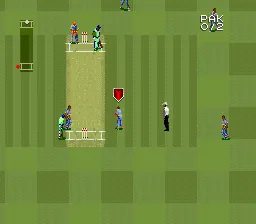 Super International Cricket SNES &#x22;Zoom out&#x22;.