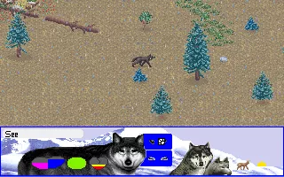 Wolf DOS Trying to find our way through the snowy lands as an arctic wolf