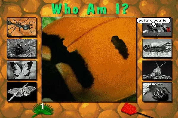 Bug Adventure DOS &#x27;Who Am I?&#x27; - a game of guessing an arthropod by a zoomed-in picture