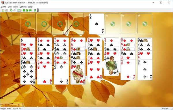 BVS Solitaire Collection Windows Freecell Solitaire