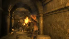 Tomb Raider: Underworld PlayStation 3 Nice touch, she raises hand to protect her face from the flames.