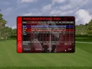 Tiger Woods 99 PGA Tour Golf Windows Putts