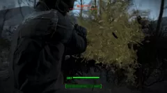 Fallout 4 PlayStation 4 Splashing a bloatfly at close range