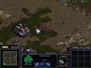 StarCraft: Brood War Windows Battling the Zealots